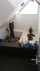 Serangoon Garden View (D19), Terrace #156916832